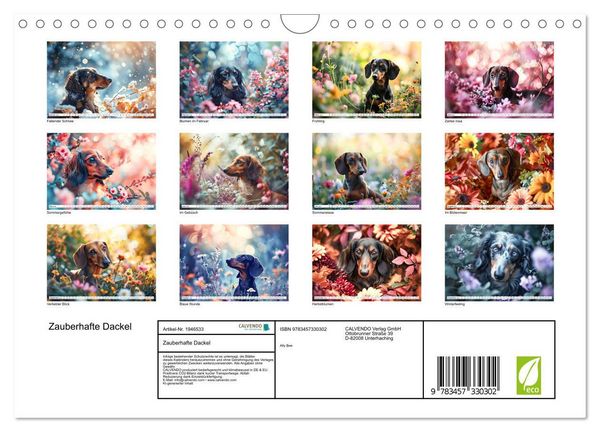 Produktbild: Zauberhafte Dackel (Wandkalender 2026 DIN A4 quer), CALVENDO Monatskalender