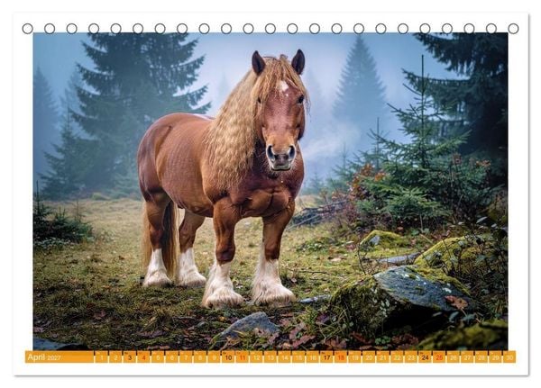 Produktbild: Arbeitspferde in Action (Tischkalender 2027 DIN A5 quer), CALVENDO Monatskalender