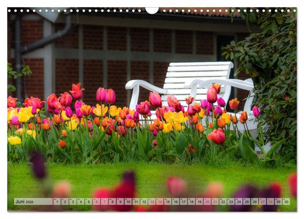 Produktbild: Schlossgarten Oldenburg. Ein Fotospaziergang (Wandkalender 2026 DIN A3 quer), CALVENDO Monatskalender