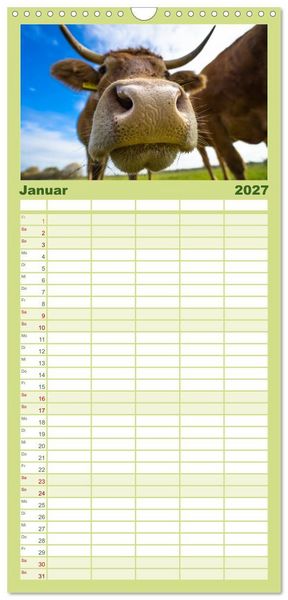 Produktbild: Familienplaner 2027 - Kuhckst du? mit 5 Spalten (Wandkalender, 21 x 45 cm) CALVENDO