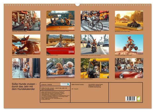 Produktbild: S&uuml;&szlig;e Hunde cruisen - durch das Jahr mit dem Hundekalender (Wandkalender 2026 DIN A2 quer), CALVENDO Monatskalender