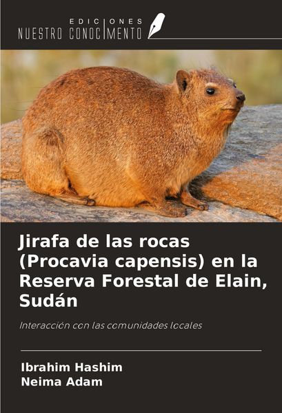 Produktbild: Jirafa de las rocas (Procavia capensis) en la Reserva Forestal de Elain, Sud&aacute;n