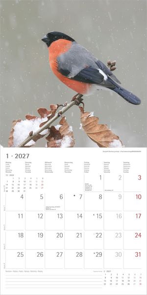 Produktbild: Einheimische V&ouml;gel 2027