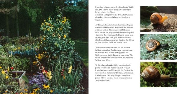 Produktbild: Schneckenleben