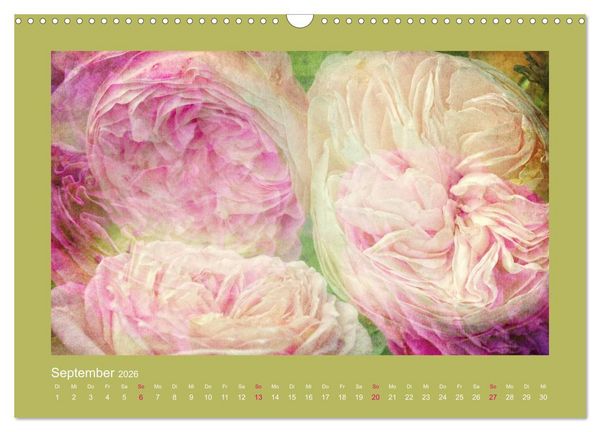 Produktbild: Romantische Rosen (Wandkalender 2026 DIN A3 quer), CALVENDO Monatskalender
