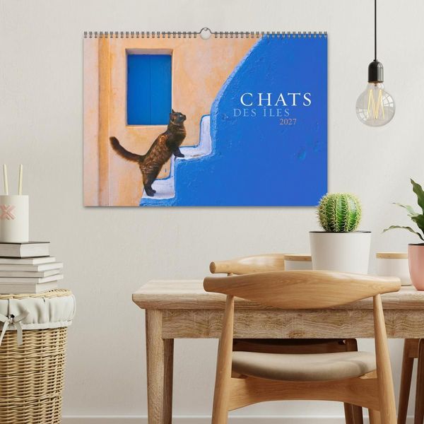 Produktbild: Chats des &icirc;les (Calendrier mural 2027 DIN A3 vertical), CALVENDO calendrier mensuel