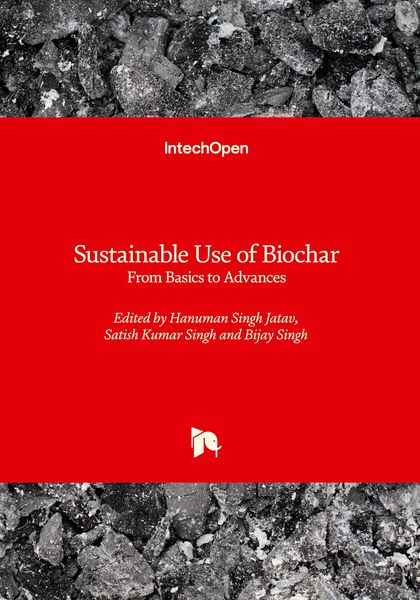 Produktbild: &nbsp;Sustainable Use of Biochar - From Basics to Advances
