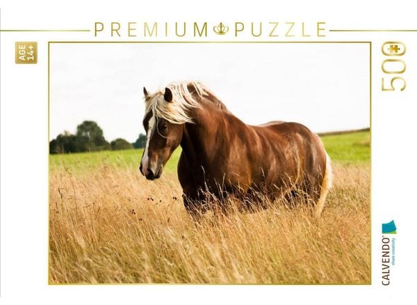 CALVENDO Puzzle Schwarzwälder Kaltblut auf der Spätsommerkoppel | 500 Teile Lege-Größe 48 × 36 cm Foto-Puzzle für Erwachsene