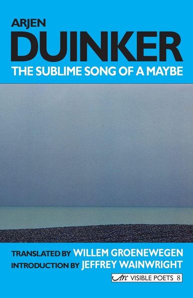Produktbild: The Sublime Song of a Maybe