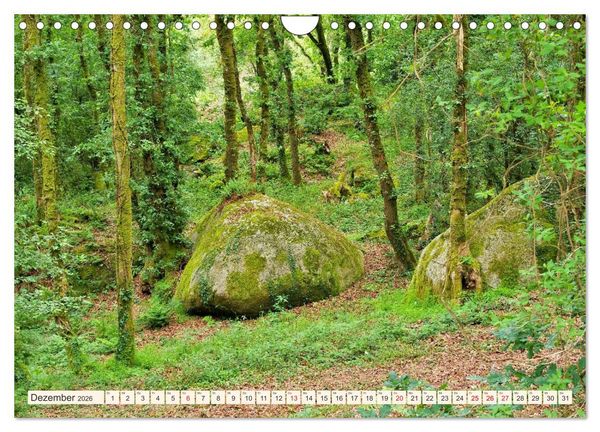 Produktbild: Huelgoat - Sagenumwobener M&auml;rchenwald in der Bretagne (Wandkalender 2026 DIN A4 quer), CALVENDO Monatskalender