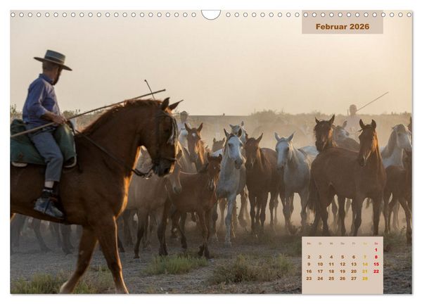 Produktbild: Pferde - Andalusiens wilder Westen (Wandkalender 2026 DIN A3 quer), CALVENDO Monatskalender