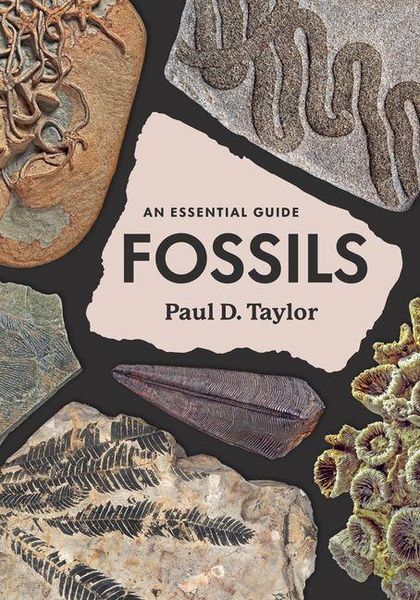 Produktbild: Fossils