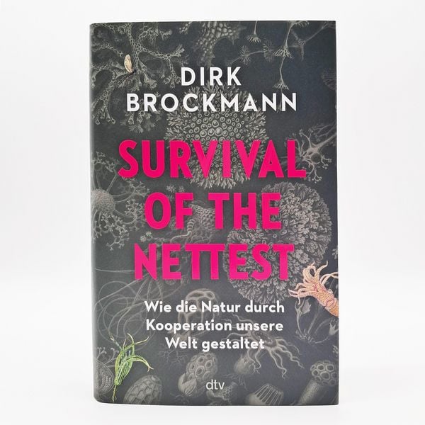 Produktbild: Survival of the Nettest