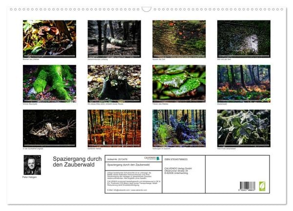 Produktbild: Spaziergang durch den Zauberwald (Wandkalender 2026 DIN A2 quer), CALVENDO Monatskalender