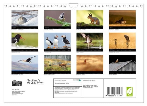 Produktbild: Scotland's Wildlife 2026 (Wall Calendar 2026 DIN A4 landscape), CALVENDO 12 Month Wall Calendar