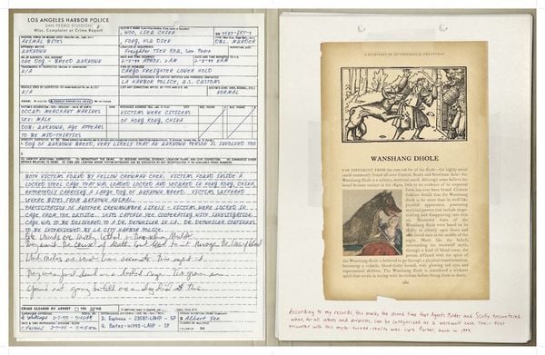 Produktbild: The X-Files: The Official Archives