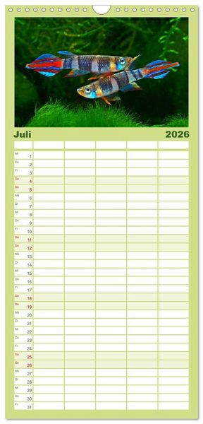 Produktbild: Familienplaner 2026 - Beliebte Fische der Welt mit 5 Spalten (Wandkalender, 21 x 45 cm) CALVENDO