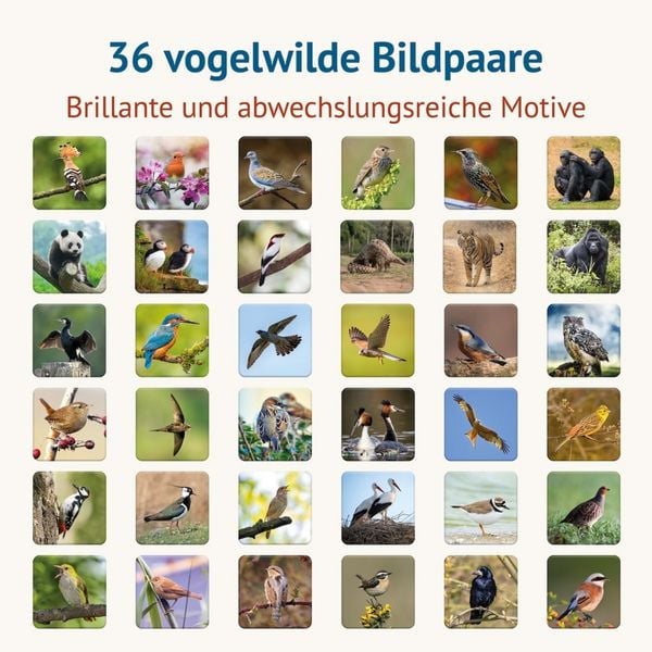 Produktbild: Vogelwild - Memospiel