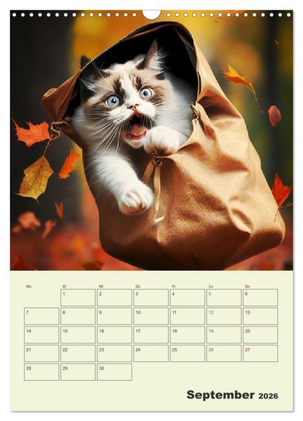 Produktbild: Jetzt ist die Katze aus dem Sack! Katzenspa&szlig; vom Feinsten! (Wandkalender 2026 DIN A3 hoch), CALVENDO Monatskalender