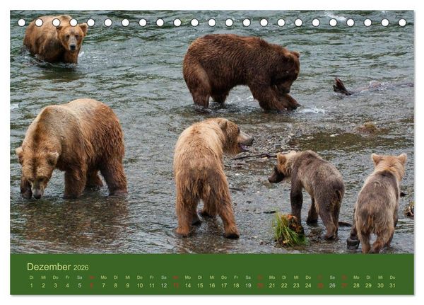 Produktbild: Der B&auml;renkalender 2026 CH-Version (Tischkalender 2026 DIN A5 quer), CALVENDO Monatskalender