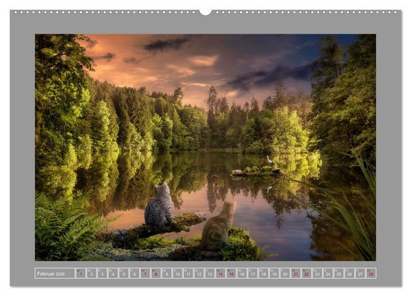 Produktbild: Kleine Streuner (hochwertiger Premium Wandkalender 2026 DIN A2 quer), Kunstdruck in Hochglanz