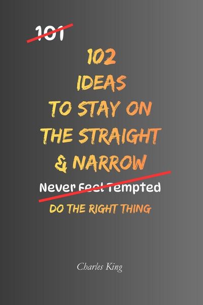 Produktbild: 102 Ideas To Stay On The Straight And Narrow