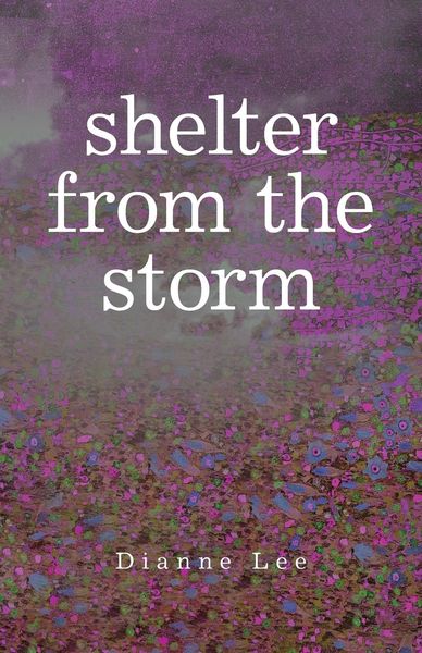 Produktbild: Shelter from the Storm