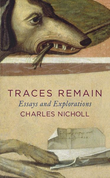 Produktbild: Traces Remain