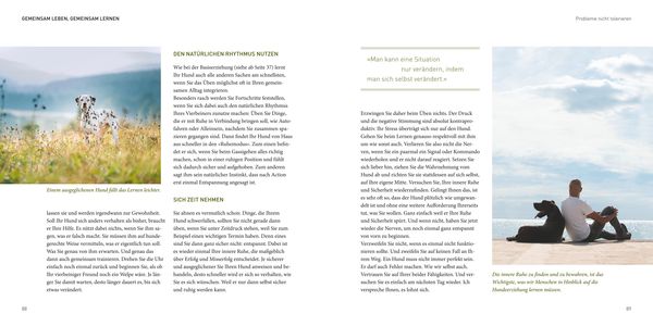 Produktbild: Jos&eacute; Arce's Praxisbuch