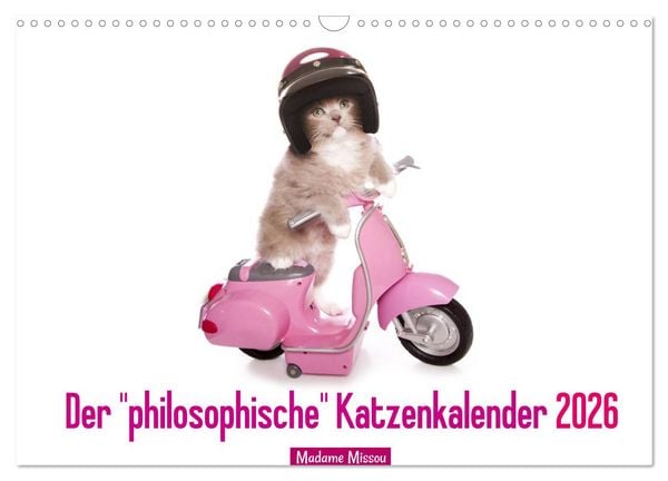 Der 'philosophische' Katzenkalender 2026 (Wandkalender 2026 DIN A3 quer), CALVENDO Monatskalender