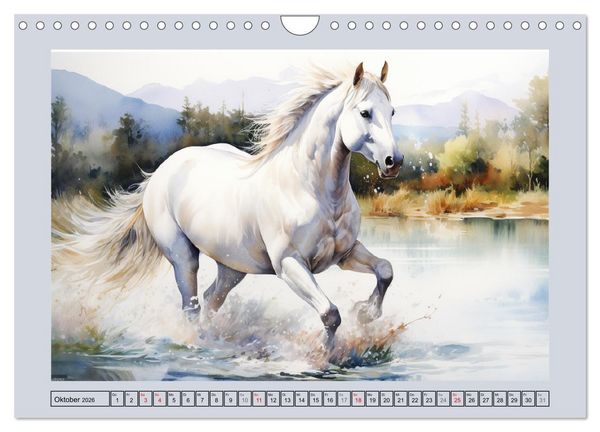 Produktbild: Anmutige Schimmel. &Auml;sthetik wei&szlig;er Aquarell-Pferde (Wandkalender 2026 DIN A4 quer), CALVENDO Monatskalender