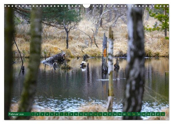 Produktbild: Der Loben. Im Reich der Moorgeister und Kreuzottern- S&uuml;dbrandenburgs letztes gro&szlig;es Moor (Wandkalender 2026 DIN A3 quer), CALVENDO Monatskalender
