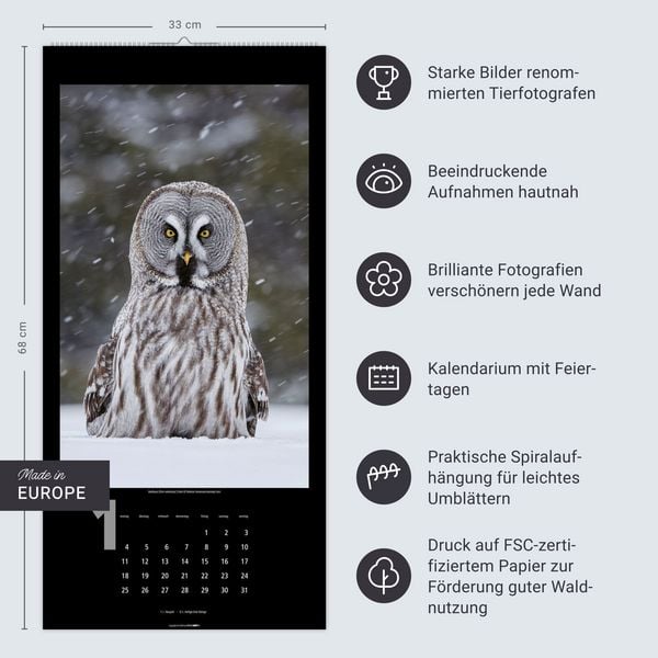 Produktbild: Eulen Kalender 2027