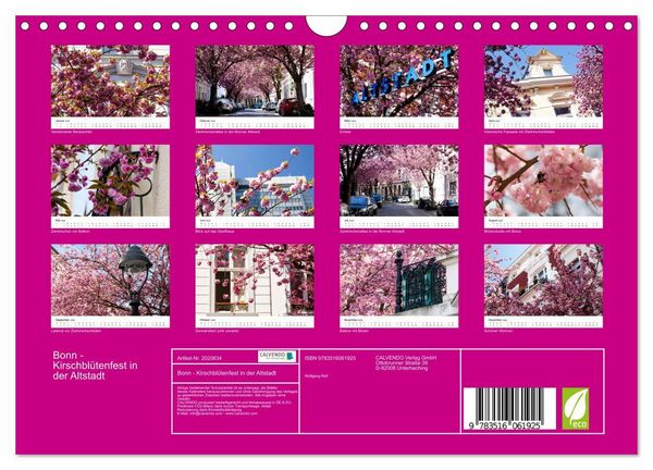 Produktbild: Bonn - Kirschbl&uuml;tenfest in der Altstadt (Wandkalender 2026 DIN A4 quer), CALVENDO Monatskalender