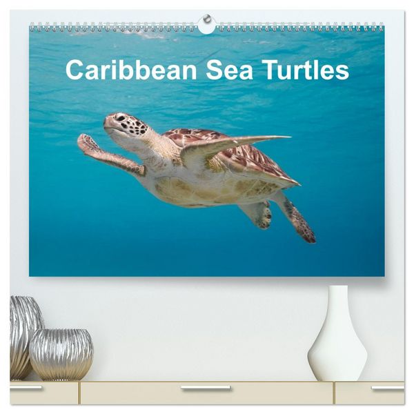 Produktbild: Caribbean Sea Turtles (High Quality Premium Wall Calendar 2026 DIN A2 landscape),CALVENDO 12 Month Wall Calendar