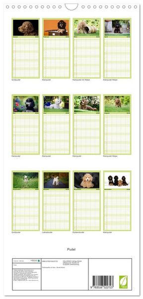 Produktbild: Familienplaner 2026 - Pudel mit 5 Spalten (Wandkalender, 21 x 45 cm) CALVENDO