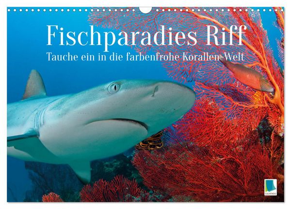 Produktbild: Fischparadies Riff (Wandkalender 2026 DIN A3 quer), CALVENDO Monatskalender