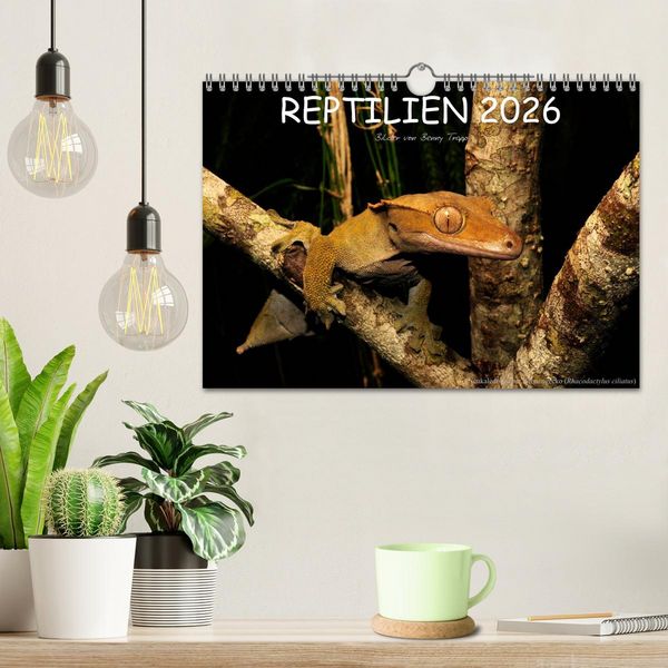 Produktbild: REPTILIEN (Wandkalender 2026 DIN A4 quer), CALVENDO Monatskalender