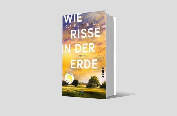Wie Risse in der Erde