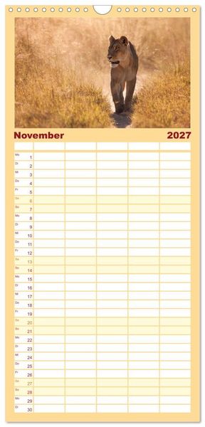 Produktbild: Familienplaner 2027 - Afrika Wildlife-Fotografien mit 5 Spalten (Wandkalender, 21 x 45 cm) CALVENDO