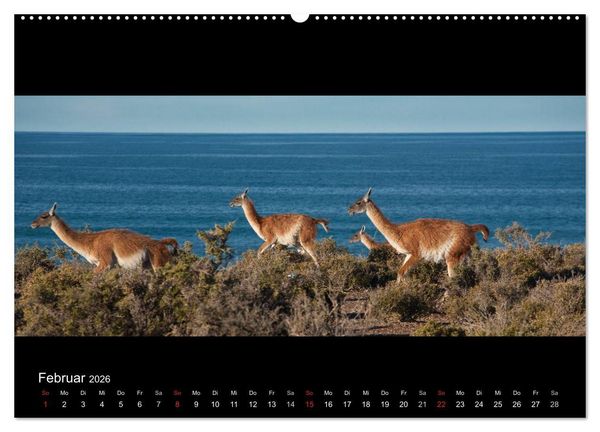 Produktbild: Patagonien - Ungez&auml;hmtes Land (hochwertiger Premium Wandkalender 2026 DIN A2 quer), Kunstdruck in Hochglanz