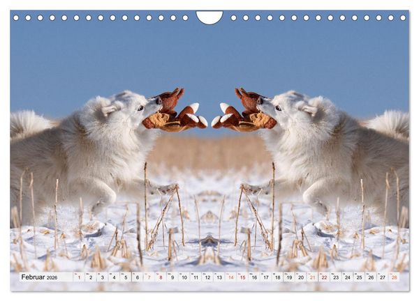 Produktbild: Mit doppelter Power durch das Jahr (Wandkalender 2026 DIN A4 quer), CALVENDO Monatskalender