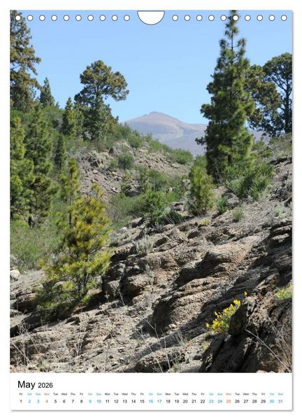 Produktbild: Tenerife - The volcanic island (Wall Calendar 2026 DIN A4 portrait), CALVENDO 12 Month Wall Calendar