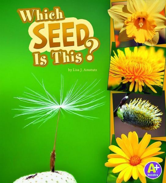 Produktbild: Which Seed Is This?