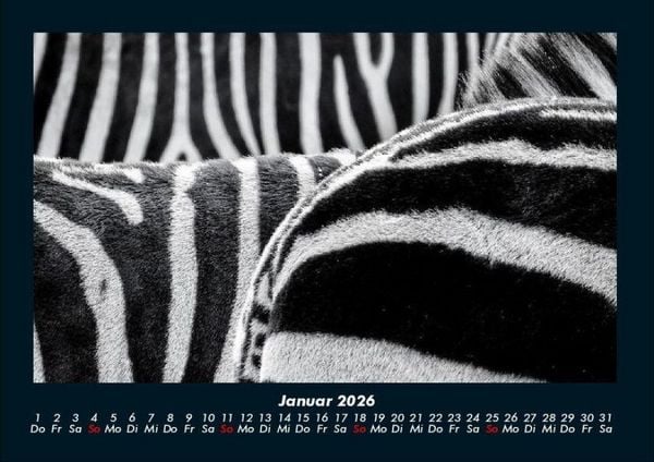 Produktbild: Tierkalender 2026 Fotokalender DIN A4