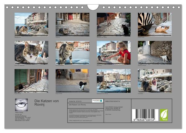 Produktbild: Die Katzen von Rovinj (Wandkalender 2026 DIN A4 quer), CALVENDO Monatskalender