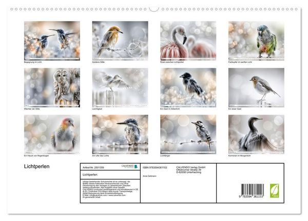 Produktbild: Lichtperlen (hochwertiger Premium Wandkalender 2027 DIN A2 quer), Kunstdruck in Hochglanz