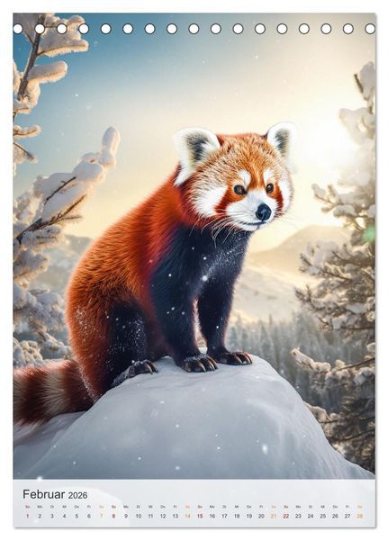Produktbild: Lustige rote Panda (Tischkalender 2026 DIN A5 hoch), CALVENDO Monatskalender