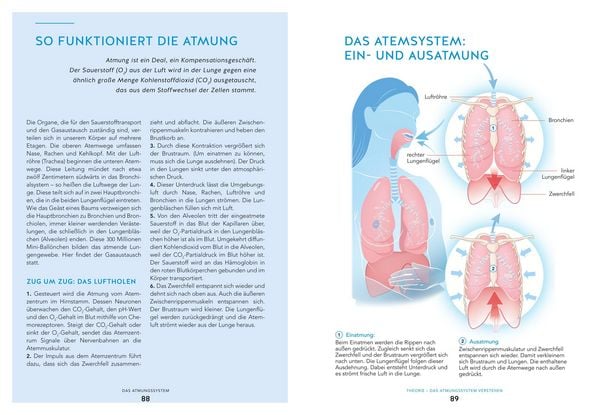 Produktbild: Du bist so alt wie dein schw&auml;chstes Organ