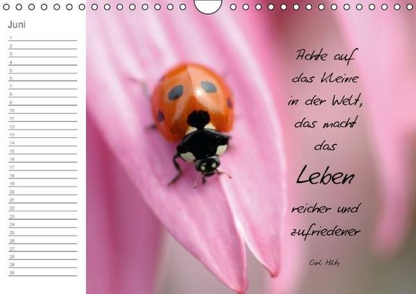 Produktbild: LEBENSGL&Uuml;CK (Wandkalender immerw&auml;hrend DIN A4 quer)